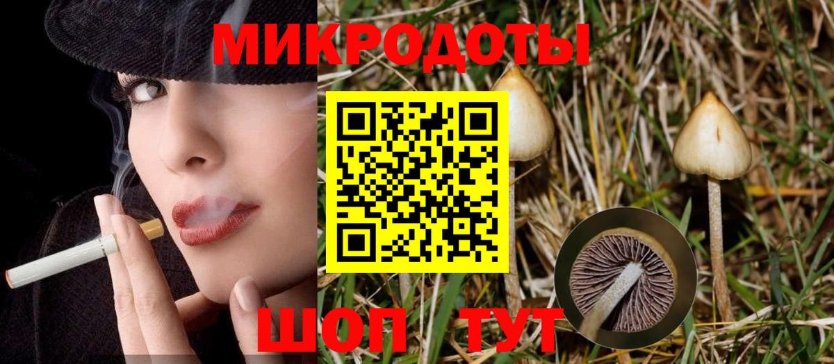 Галлюциногенные грибы Magic Shrooms  Вход с VPN  Азов  Псилоцибиновые грибы мицелий 