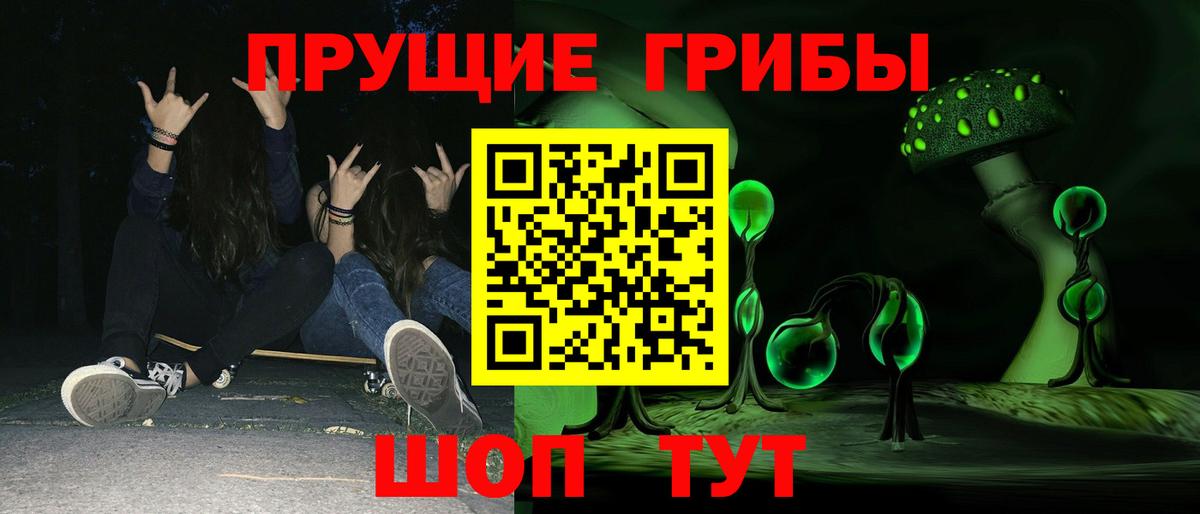 Галлюциногенные грибы Psilocybe Азов